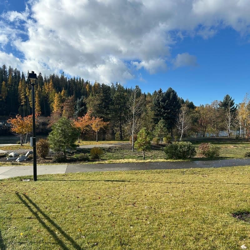 Grassy park area with paved path, surrounded by a forest of colorful autumn trees under a bright, cloudy blue sky.